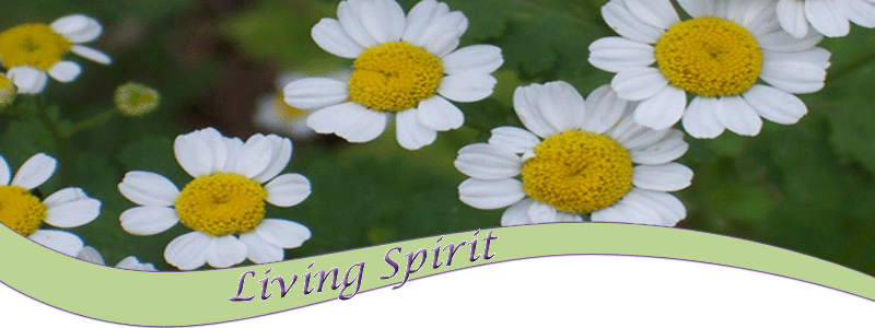 Living Spirit, Love, Characteristics of Spirit, Spiritual Growth through Spirit, Articles on Spirit and Spiritual Growth
