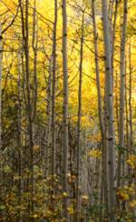 Know When It's Time for Change, Habits for Living a Spiritual life, Spiritualizing your day to day life, Articles on spiritual growth